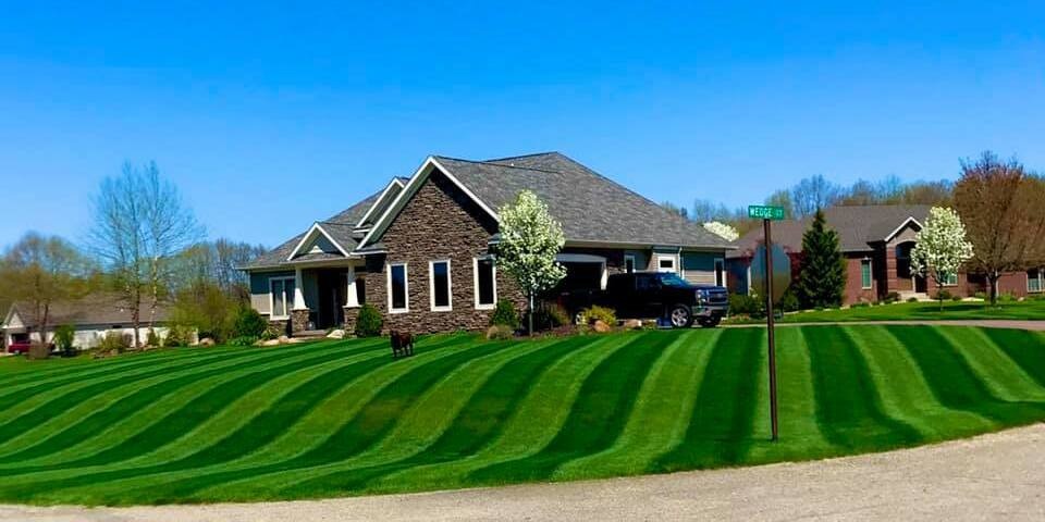 Best lawn 2024 stripes