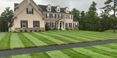 Brown house with beautiful striped front yard