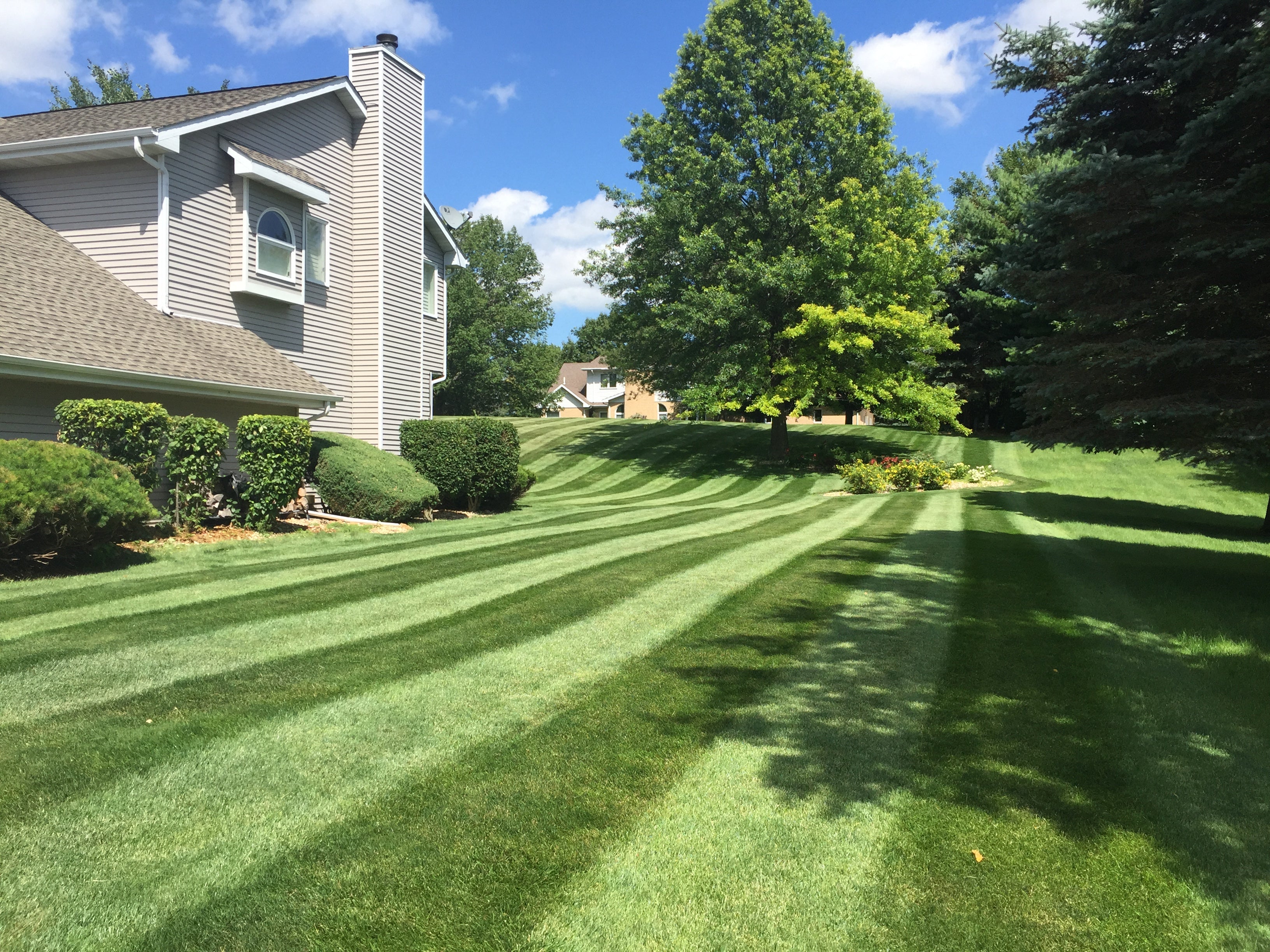 Toro 2025 timemaster striping