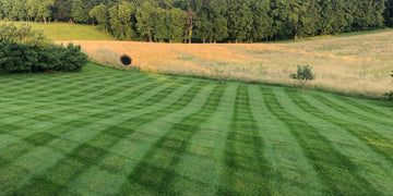 CheckMate™ for Ariens® Zenith