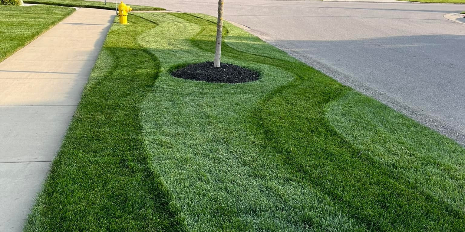 Curved lawn stripes around neighborhood landscaping